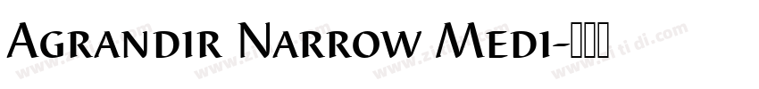 Agrandir Narrow Medi字体转换